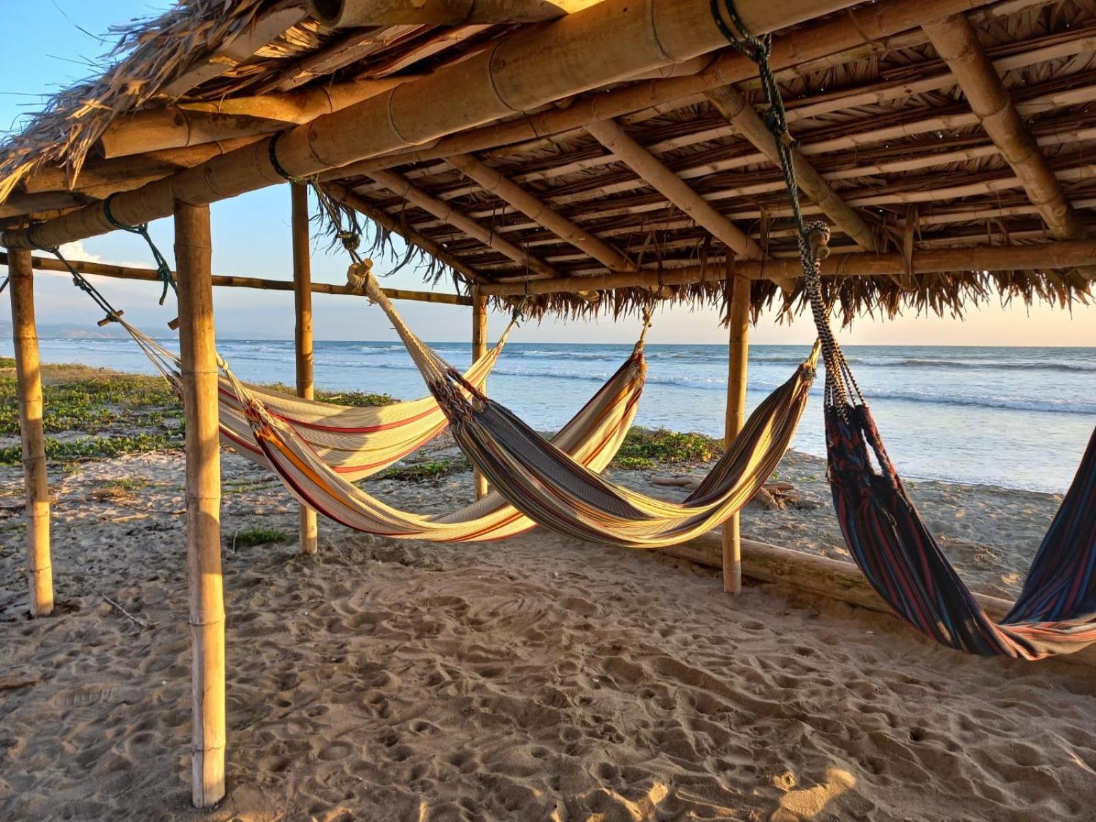 Canoa South Beach Esterno foto